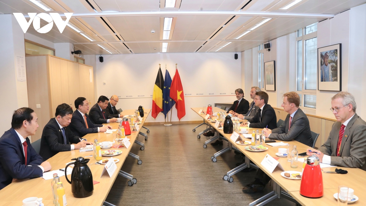 Vietnam wants to enhance cooperative ties with Belgium: top legislator